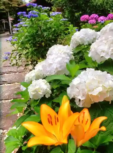 本郷氷川神社(東京都)