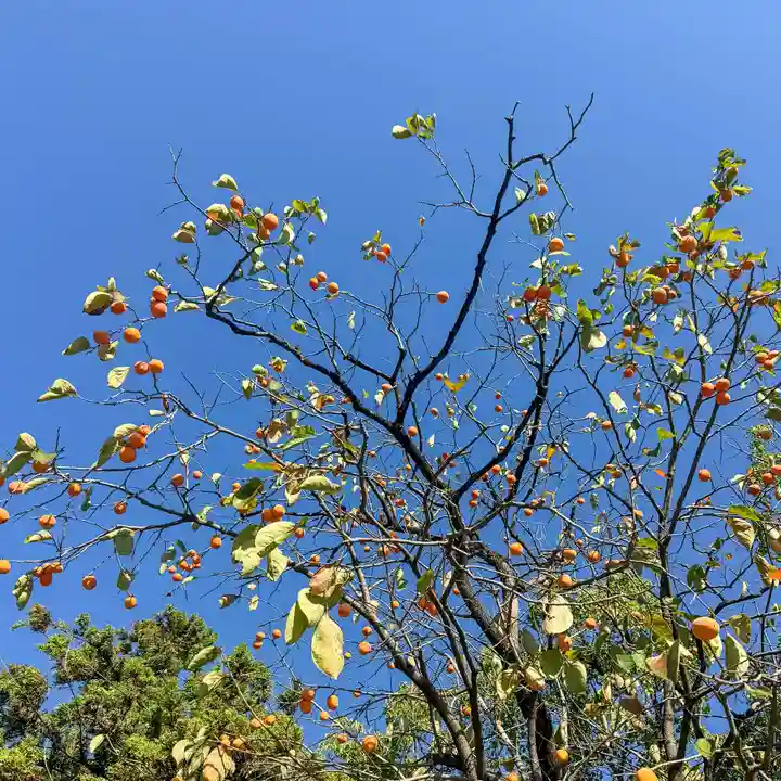伊勢の国 四天王寺(三重県)