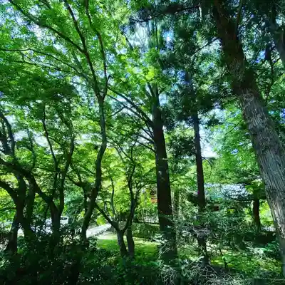 小松寺(千葉県)