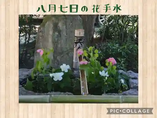 阿智神社の手水