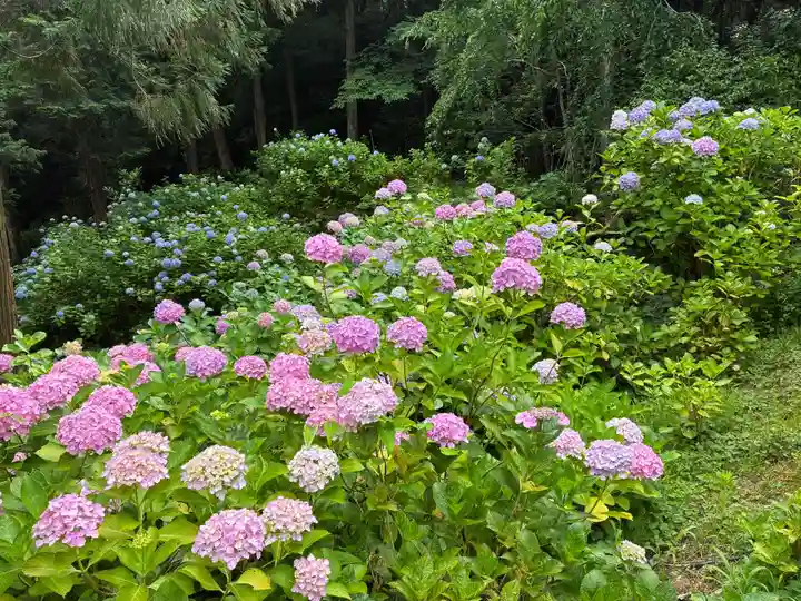 熊谷寺(徳島県)