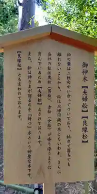 自由が丘熊野神社の歴史