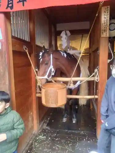 秩父神社(埼玉県)