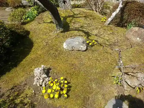 海蔵寺の庭園