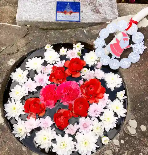 真言宗　善通寺派　薬王寺(香川県)