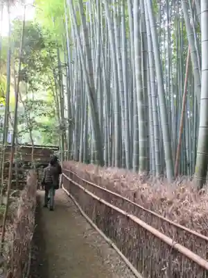 祇王寺(京都府)