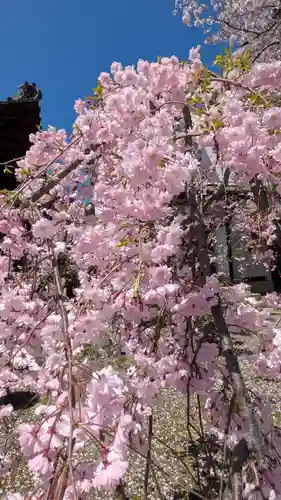 安養院(滋賀県)