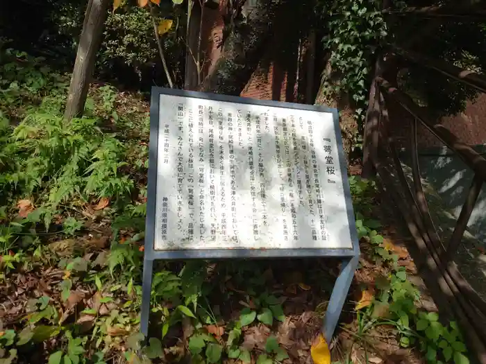 青山神社の建物その他