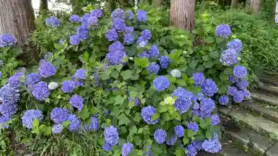 清行院　深堀観音堂の自然