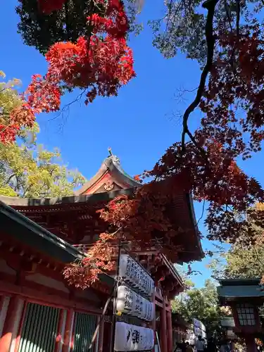 武蔵一宮氷川神社(埼玉県)