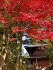 比叡山延暦寺の自然