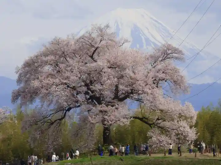 実相寺(山梨県)