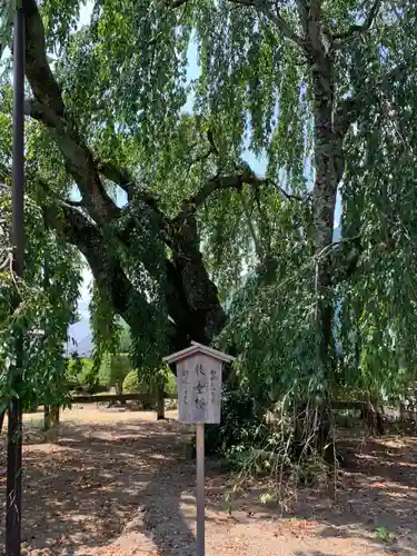 久遠寺(山梨県)