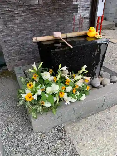 上尾御嶽神社の手水