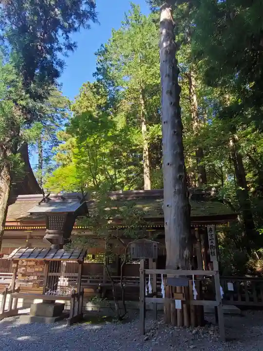 諏訪大社下社春宮のその他建物