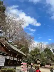 櫻木神社の建物その他