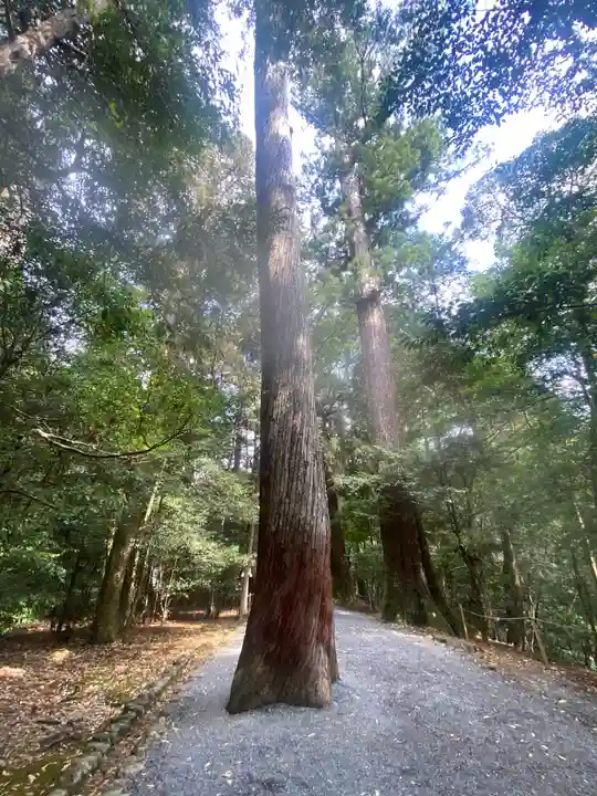 瀧原宮(皇大神宮別宮)(三重県)
