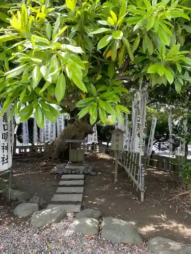 龍口明神社(神奈川県)