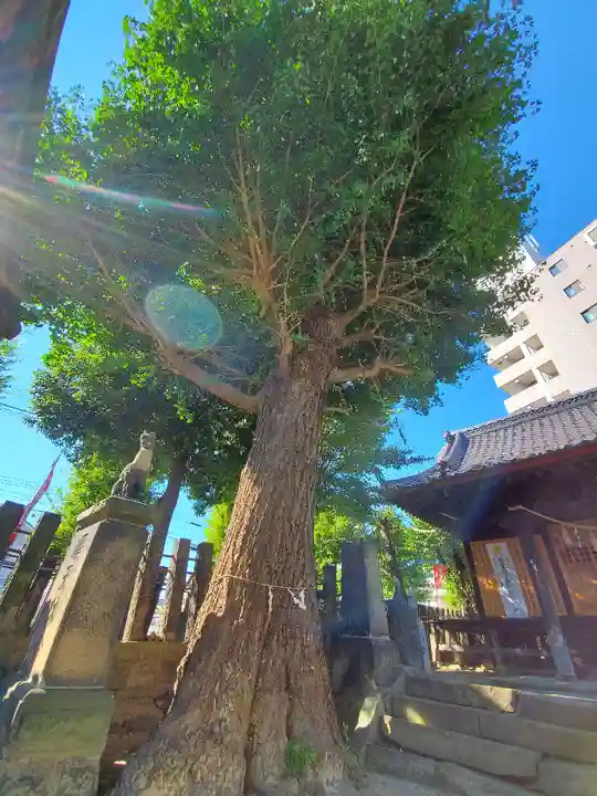 晴門田神社の自然
