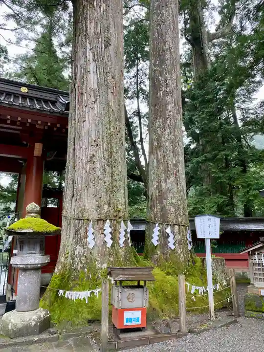 日光二荒山神社(栃木県)