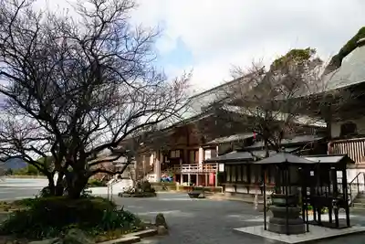 鎮國寺の本殿・本堂