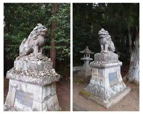 菅船神社の狛犬