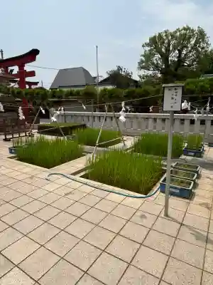 東京羽田 穴守稲荷神社(東京都)