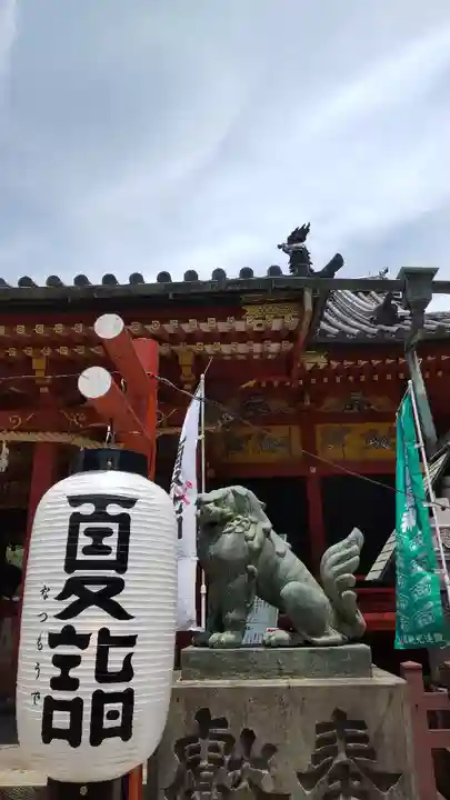 浅草神社の狛犬