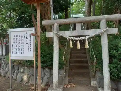 新田稲荷神社(神奈川県)
