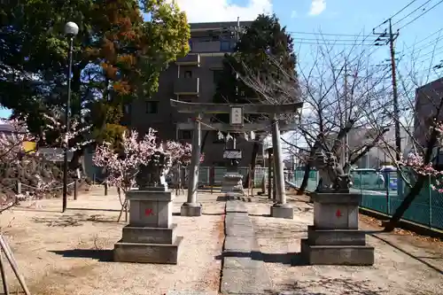 浅間神社(埼玉県)
