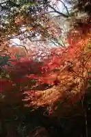 神應寺(京都府)