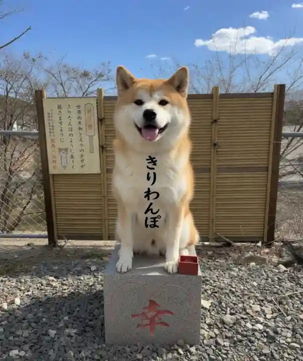 鹿角八坂神社の御朱印