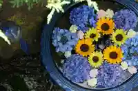 成田山大照寺(北海道)