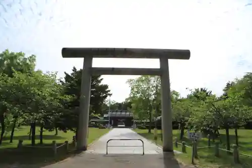 札幌護國神社の鳥居