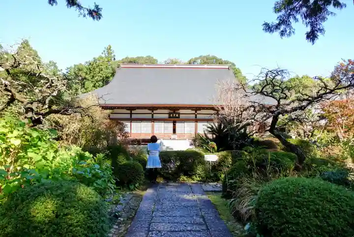 龍潭寺の本殿・本堂