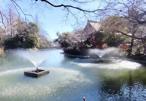 井の頭弁財天（大盛寺）の{uncategorized: "未分類", other: "その他", undefined: "問題あり", building: "その他建物", grave: "お墓", sacred_gate: "鳥居", guardian: "狛犬", statue: "像", buddha: "仏像", history: "歴史", nature: "自然", garden: "庭園", animal: "動物", pagoda: "塔", temizu: "手水舎", mountain_gate: "山門・神門", sanctuary: "本殿・本堂", subordinate: "末社・摂社", art: "芸術", scenery: "景色", jizo: "地蔵", ema: "絵馬", goshuin: "御朱印", omikuji: "おみくじ", items: "授与品その他", amulet: "お守り", goshuincho: "御朱印帳", eats: "食事", festival: "お祭り", votive_dance: "神楽", shichigosan: "七五三参", wedding: "結婚式", experience: "体験その他", initially: "初詣", around: "周辺", anti_infection: "感染症対策"}