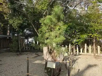 大和神社(奈良県)