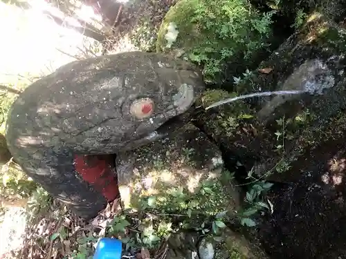 白水阿蘇神社の手水