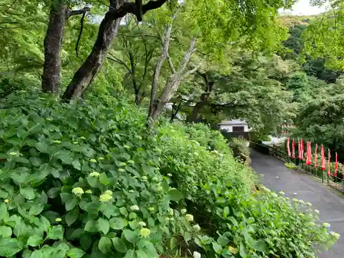 普門寺(切り絵御朱印発祥の寺)(愛知県)