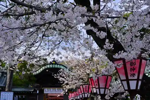 三嶋大社(静岡県)