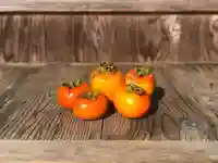 木舟山 順教寺(広島県)