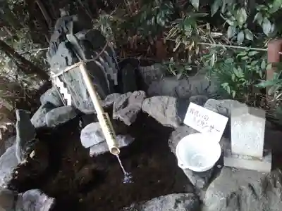 櫻木神社(千葉県)