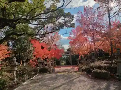 壺井八幡宮(大阪府)