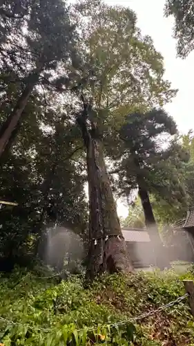 青海神社(福井県)