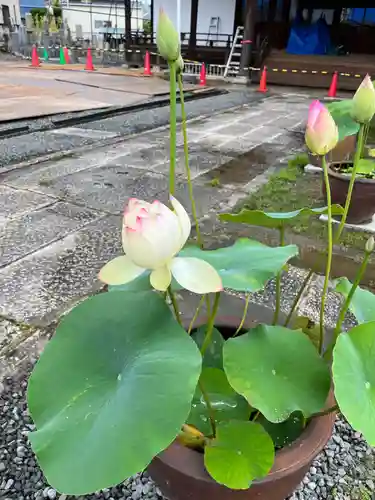 大光寺(大阪府)