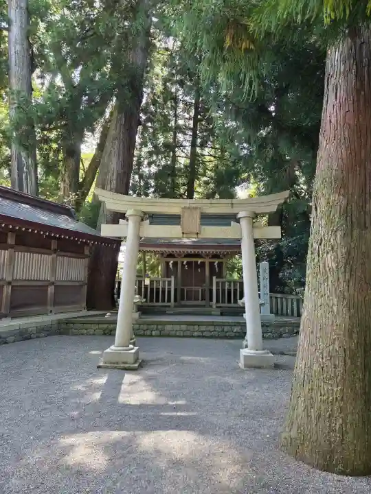 白山比咩神社の{uncategorized: "未分類", other: "その他", undefined: "問題あり", building: "その他建物", grave: "お墓", sacred_gate: "鳥居", guardian: "狛犬", statue: "像", buddha: "仏像", history: "歴史", nature: "自然", garden: "庭園", animal: "動物", pagoda: "塔", temizu: "手水舎", mountain_gate: "山門・神門", sanctuary: "本殿・本堂", subordinate: "末社・摂社", art: "芸術", scenery: "景色", jizo: "地蔵", ema: "絵馬", goshuin: "御朱印", omikuji: "おみくじ", items: "授与品その他", amulet: "お守り", goshuincho: "御朱印帳", eats: "食事", festival: "お祭り", votive_dance: "神楽", shichigosan: "七五三参", wedding: "結婚式", experience: "体験その他", initially: "初詣", around: "周辺", anti_infection: "感染症対策"}