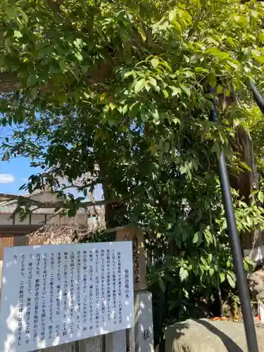 稗田野神社(薭田野神社)(京都府)