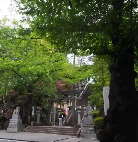 師岡熊野神社の鳥居