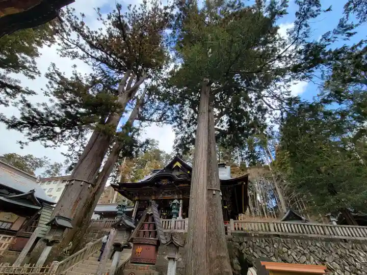 三峯神社(埼玉県)