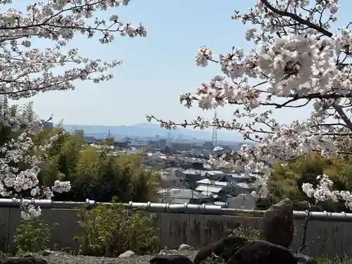 安岡寺(大阪府)